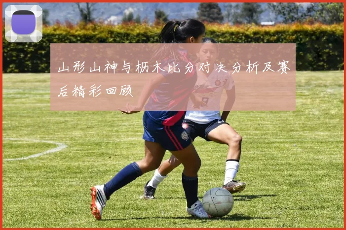 山形山神与枥木比分对决分析及赛后精彩回顾