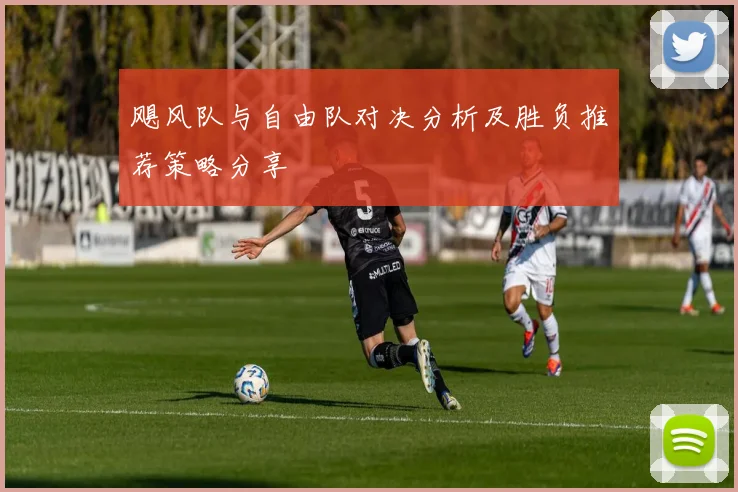 飓风队与自由队对决分析及胜负推荐策略分享